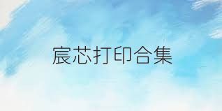 宸芯打印合集