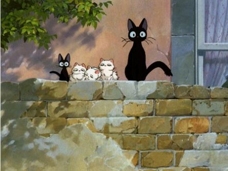 垃圾桶上的黑猫最新版