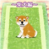 治愈系小狗养成柴犬篇免费版