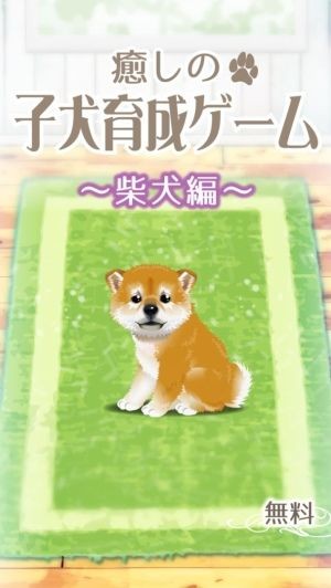 治愈系小狗养成柴犬篇免费版