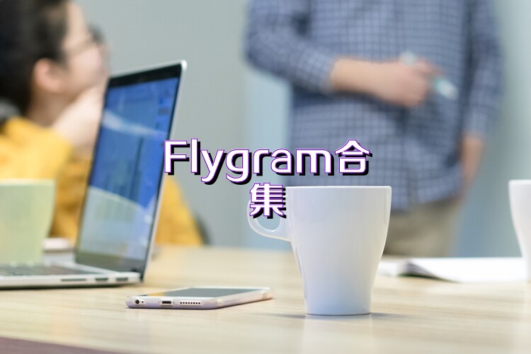 Flygram合集