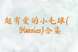 超有爱的小毛球(Fluvsies)合集