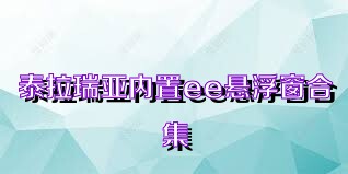 泰拉瑞亚内置ee悬浮窗合集